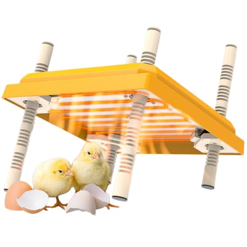 トカゲ用耐熱クリップスタンド、サーモスタットセット 両生類飼育用品 サーモスタット 爬虫類」の人気商品一覧・価格比較